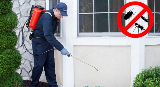 Balıklıova Fare İlaçlama böcek ilaçlama ve haşere kontrolü — ilaclama-tr.com